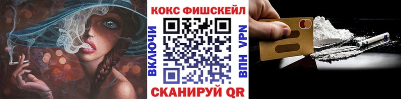 где купить наркотик  Новая Ладога  COCAIN Fish Scale 