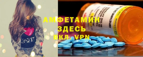 индика Балабаново