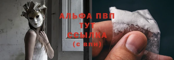 индика Балабаново